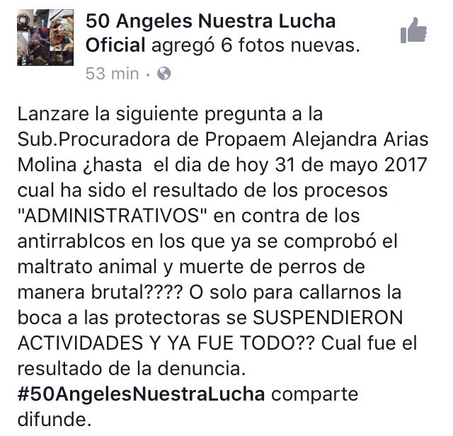 Buscando1amigo's tweet photo. D2 Su respuesta @aleariasmolina? @propaem_sma?/ @ErnestoSispa @alezazulyoro @Eliza_SotoP @UribeMerle @SylviaPasquel @DefensaAnimal @APASDEM https://t.co/qaPCI89nUY