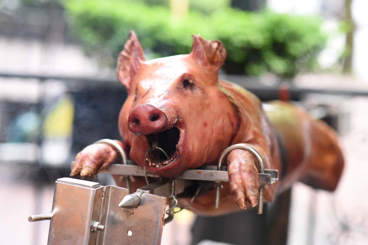 Lamplighter_Pub's tweet photo. Whole hog. The #VCBW2017 #IPHazy Cookout and Crawfish Boil is officially sold out. @VCBW https://t.co/SA0bfnehFI