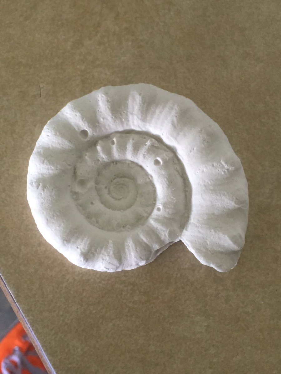 MiddleInnisfail's tweet photo. Grade 7s learning about fossils today. Thanks @astronomer4hire for sharing your expertise. https://t.co/WK5ffpB9mA
