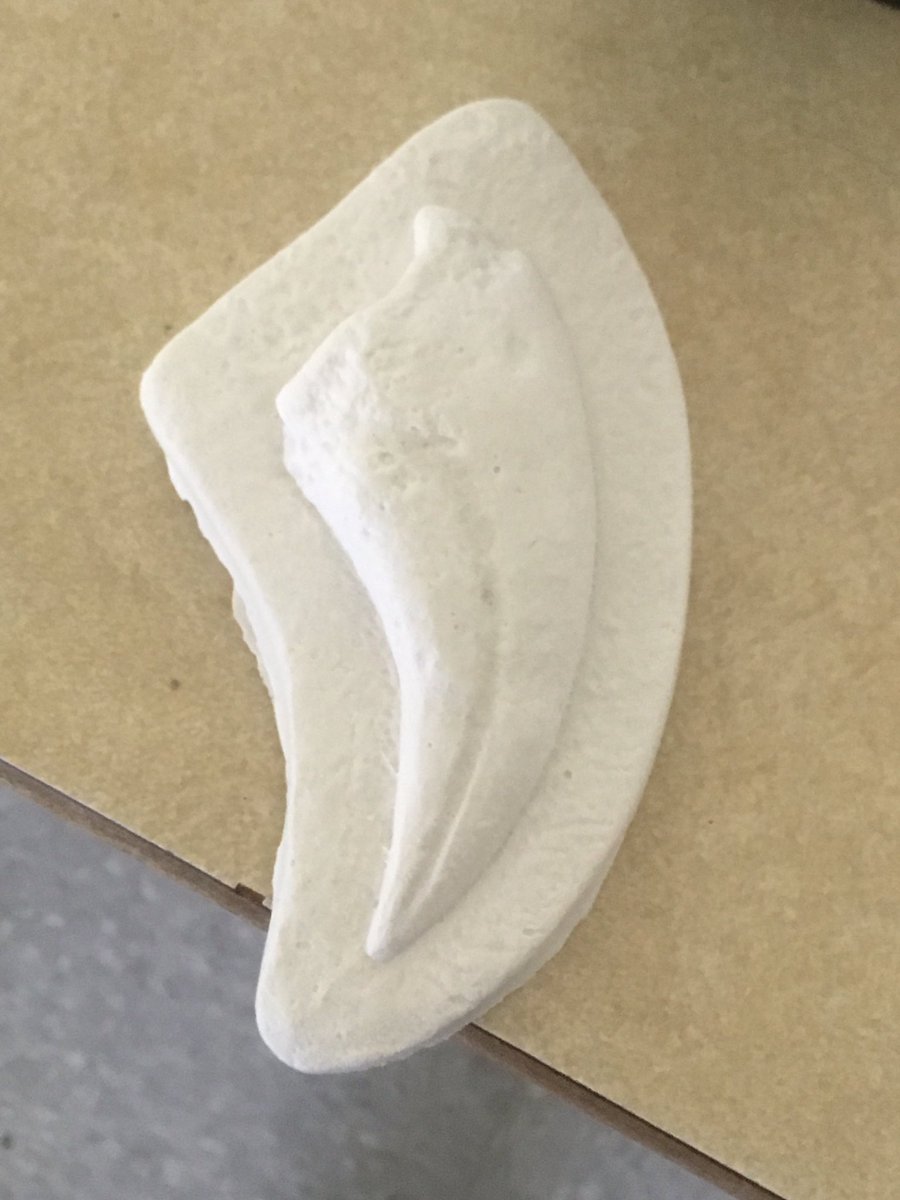 MiddleInnisfail's tweet photo. Grade 7s learning about fossils today. Thanks @astronomer4hire for sharing your expertise. https://t.co/WK5ffpB9mA