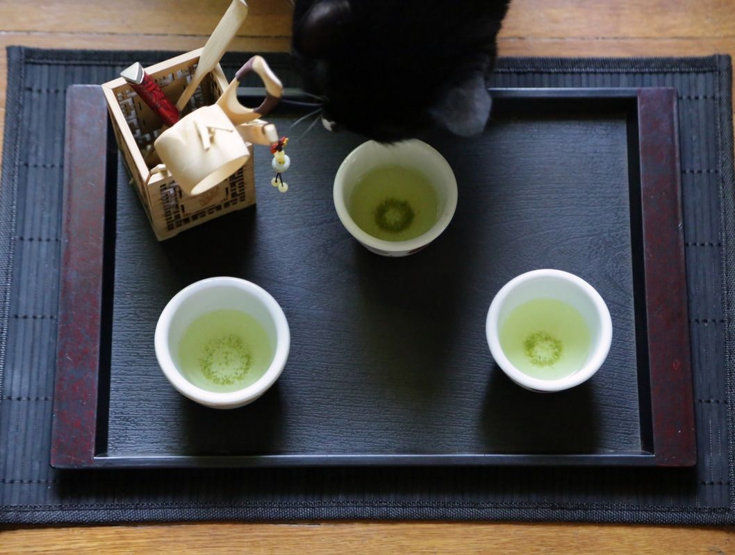 JpGreenTeaCo's tweet photo. Wonderful Review of Sencha – A Taste of Japan’s Most Popular Tea - TEA DEVIANT https://t.co/4HN6PX4YwY #greenteain #greentea #tea #japan https://t.co/1lEC1Sbd5D