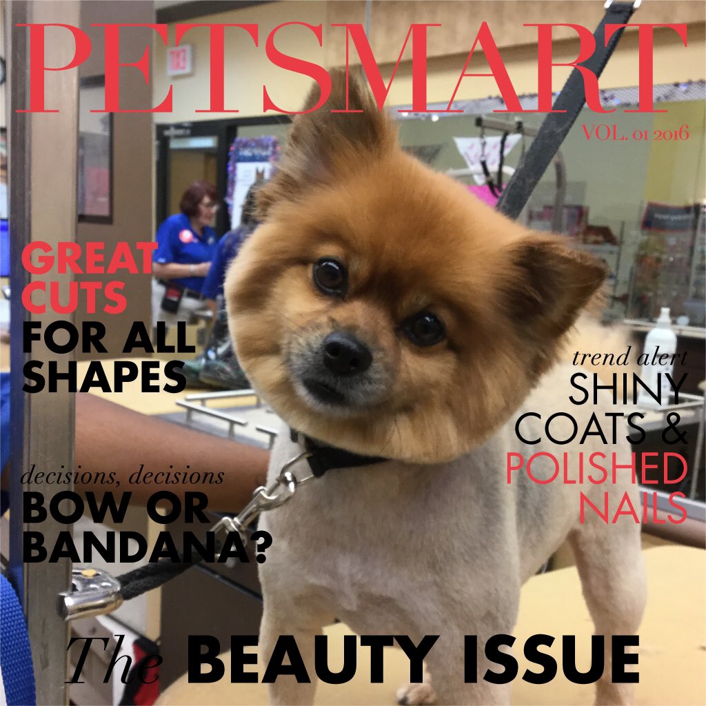 Moments App 100 Day Challenge!!! Ms. Nina is Ready for her close up!@PetSmart