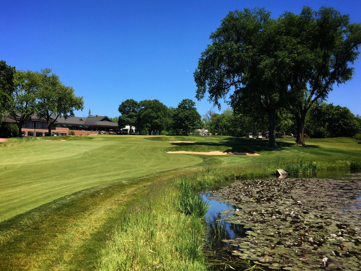 Fried Egg Golf tweet media