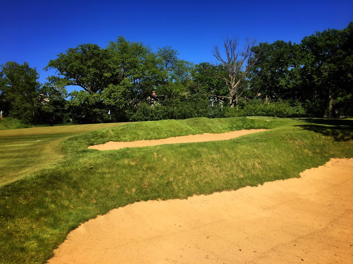 Fried Egg Golf tweet media