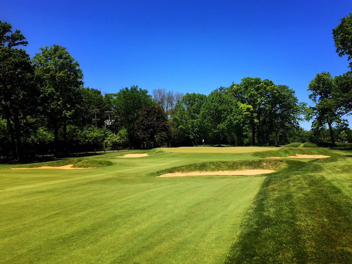 Fried Egg Golf tweet media