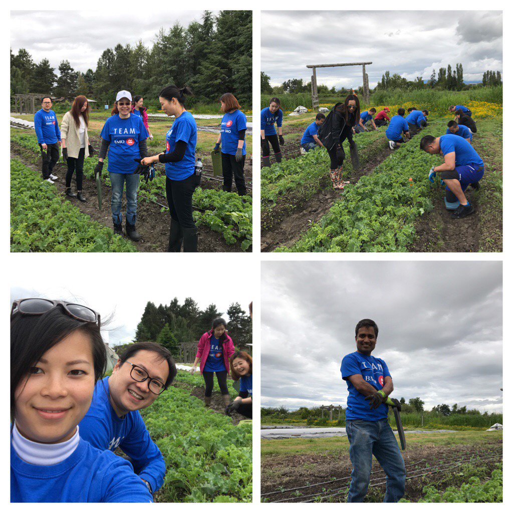 From Smartfolio to SmartFarming! @ Sharing Farm - please support! They give 70% of their crops to the Food Bank. #bmo