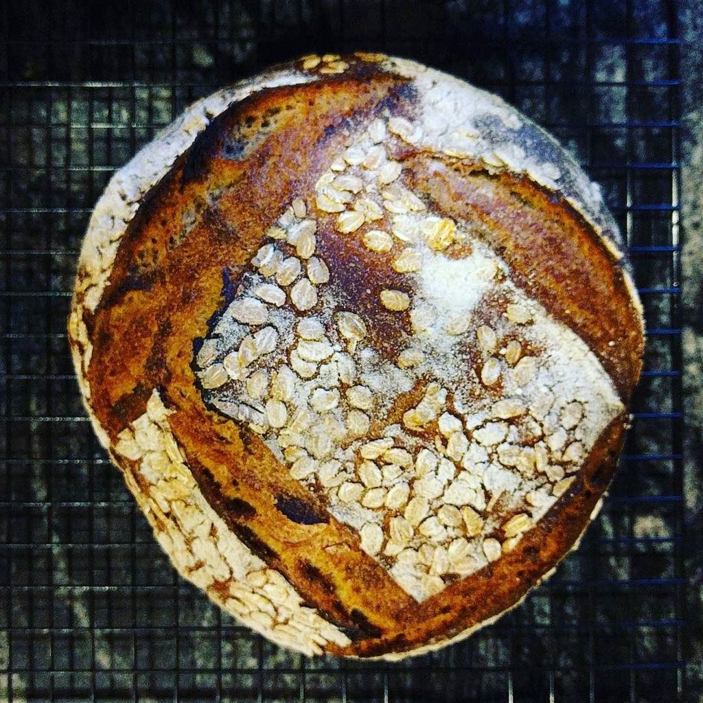BarbarianBread's tweet photo. Rye-Spelt-wheat sourdough! Dense but great scoring! Place an order for next week! #sourdough #rye #spelt #wholewhe… https://t.co/OD9KTG6JWB https://t.co/aCwFn57Ohn