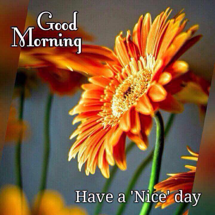 sunlovepree2's tweet photo. @preetikatweets good morning my doll https://t.co/5Pi3n50yiw