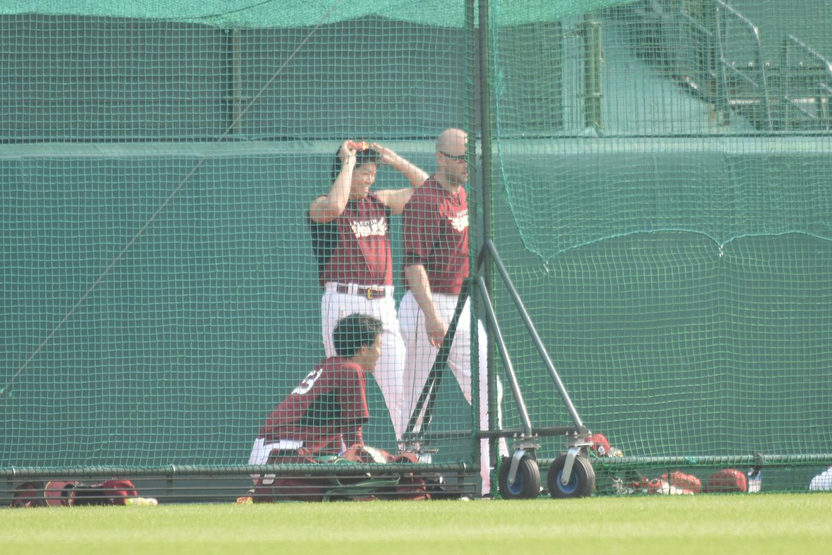 wk58_sh66's tweet image. トムさんの二の腕(￣￢￣)♡
#戸村健次 #rakuteneagles