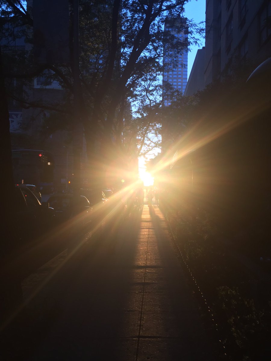 David Feheley tweet media