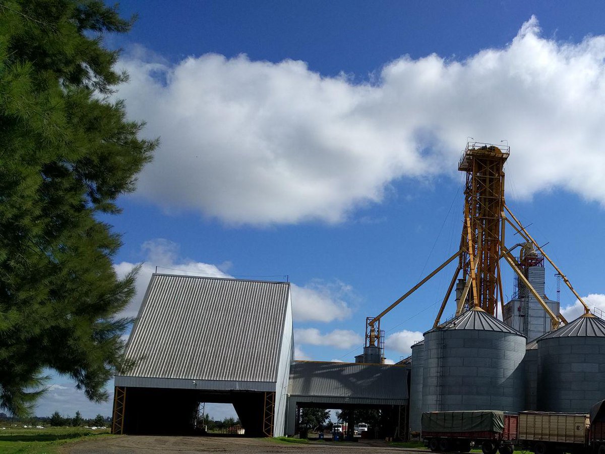 agripuerto's tweet photo. A tan solo 6km de los principales puertos. Ubicada en Puerto General San Martin, Provincia de Santa Fe, Argentina. https://t.co/sMjd1MrIE6 https://t.co/vmZjF03wmD