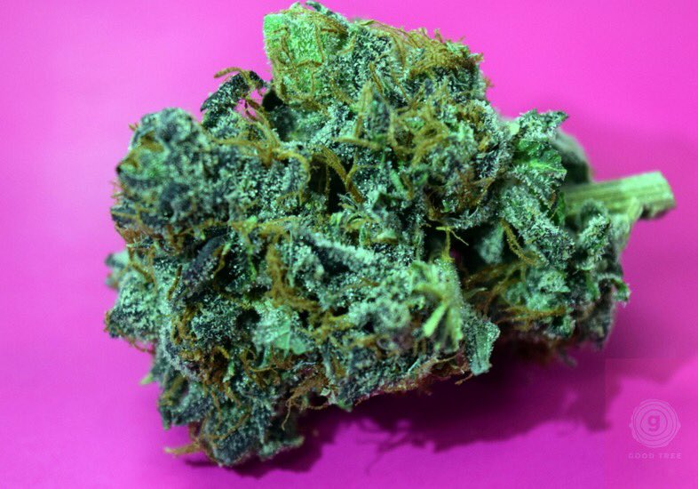 getgoodtree's tweet photo. RT & FOLLOW for a chance to win 6 GRAMS of Gelato from Good Tree. Papers or woods?🤔We're picking winners soon #June1st #MyGoodTree #yes6 https://t.co/rdJo7MwV0d