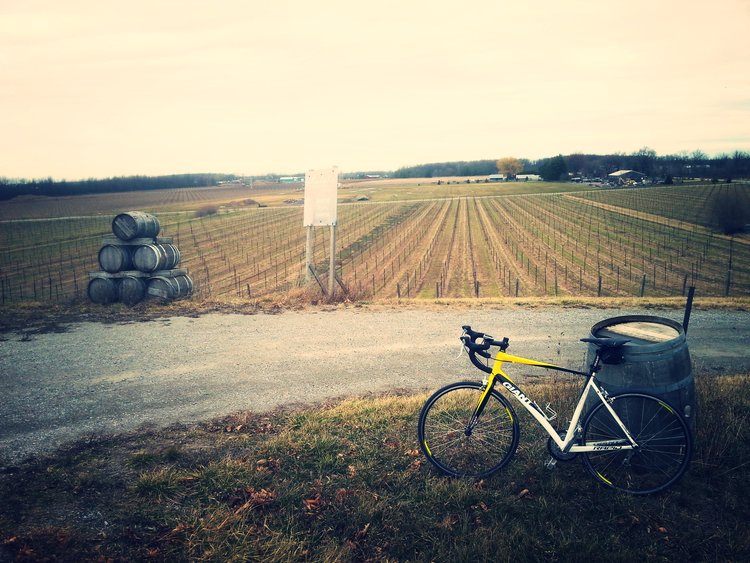 Check us out in <a href="/EcophilesMag/">ecophiles</a> as part of the "9 Incredible Bike Paths in North America." 
goo.gl/hyN9LX
#cyclinginNiagara #Niagara