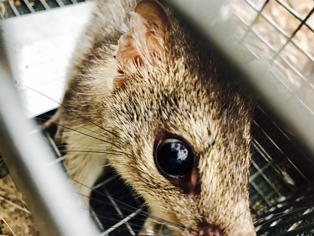 Skye Cameron tweet media