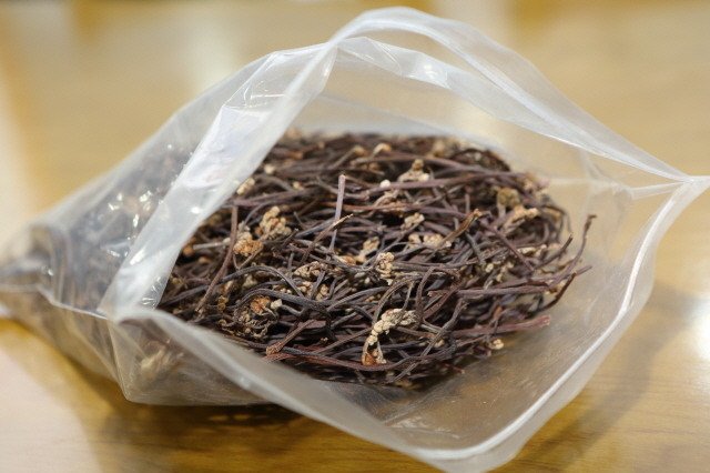 <#산촌생태마을_여행시리즈> 봄에는 마을의 특산품인 #산나물 을 이용한 #축제 가 열리고 여름에는 뼛속까지 시원한 #진동계곡 이 기다리고 있는 곳 #강원도 #인제진동계곡마을로 맑은 하늘과 맑은 물을 만나러가요▶bit.ly/2qDm1L8