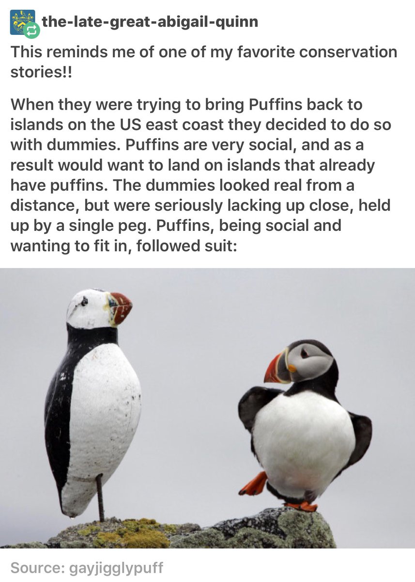 14. this is so fuckin pure