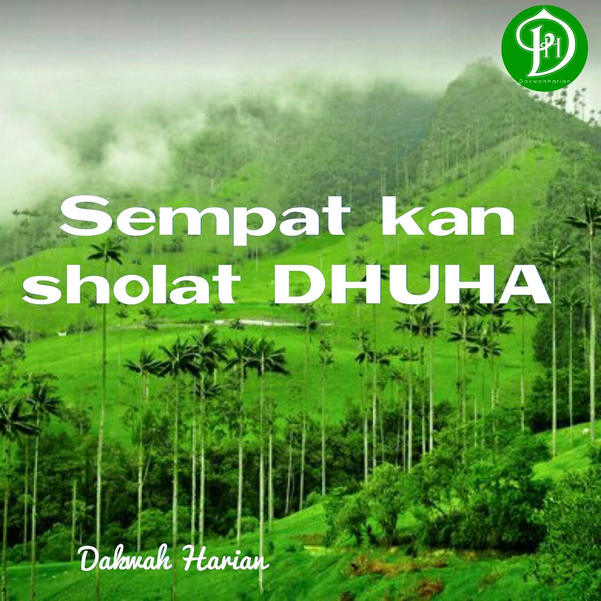 dakwah_harian's tweet photo. Sempatkan shalat Dhuha ya sahabat walaupun hanya dua rakaat #JumatBerkah https://t.co/ZWVQh3z0e2