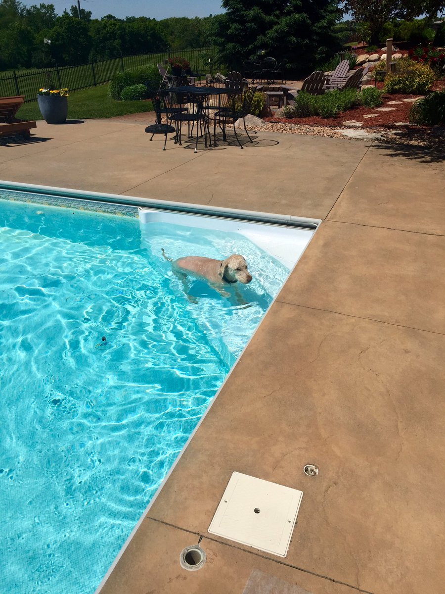officialotis's tweet photo. Great day lounging in the pool! https://t.co/i6u9yV7rW5
