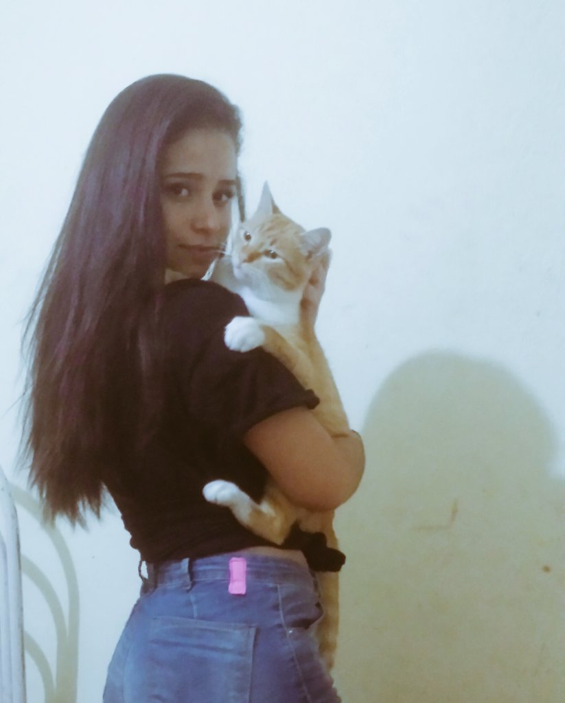 Bellaxsli's tweet photo. Gatinhos são tãoooo gatinhos https://t.co/37U3dau3tE