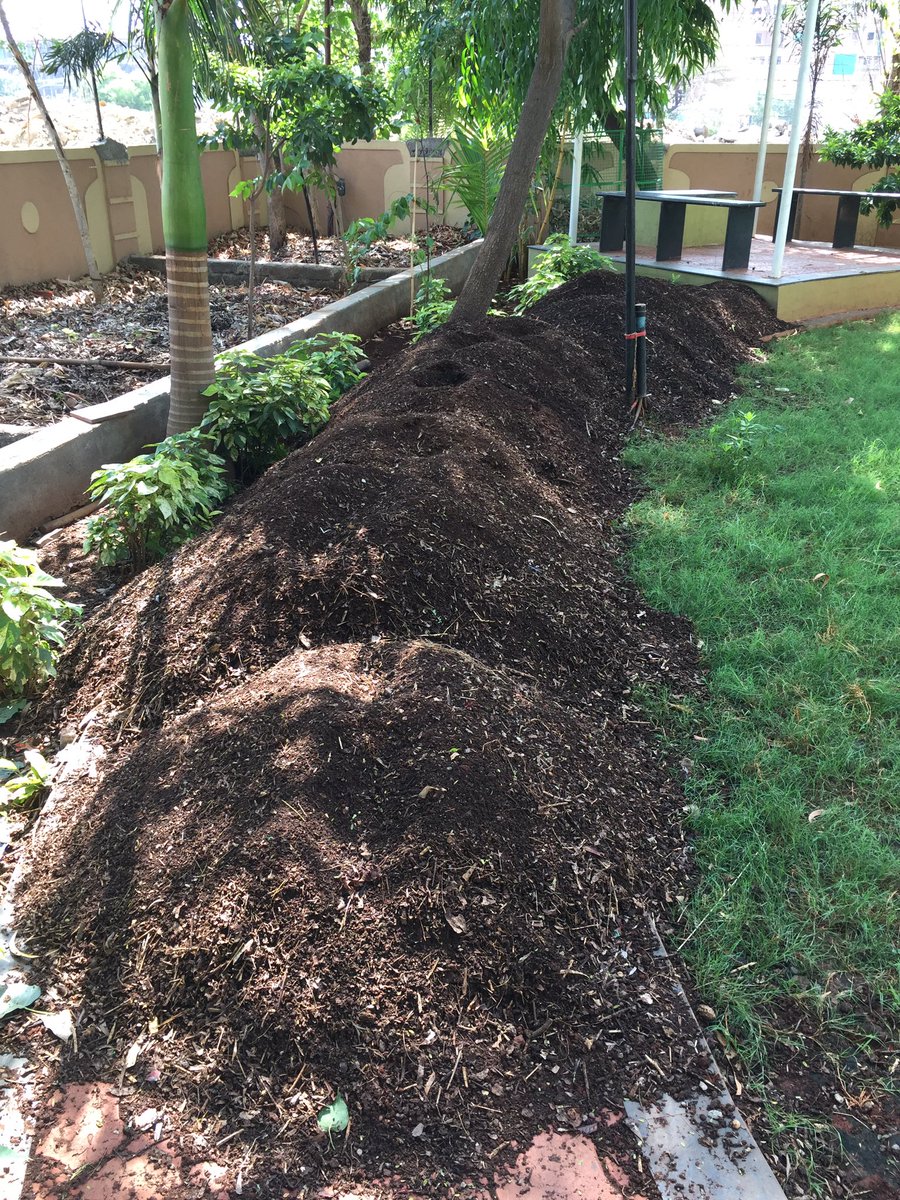 sidharth_naik's tweet photo. One more fresh harvest of #leafcompost #compost #sustainability at #roselandresidency #MyCleanIndia #SwachhBharat @smaskar @AnandDaptardar https://t.co/ohuKWNg7xC