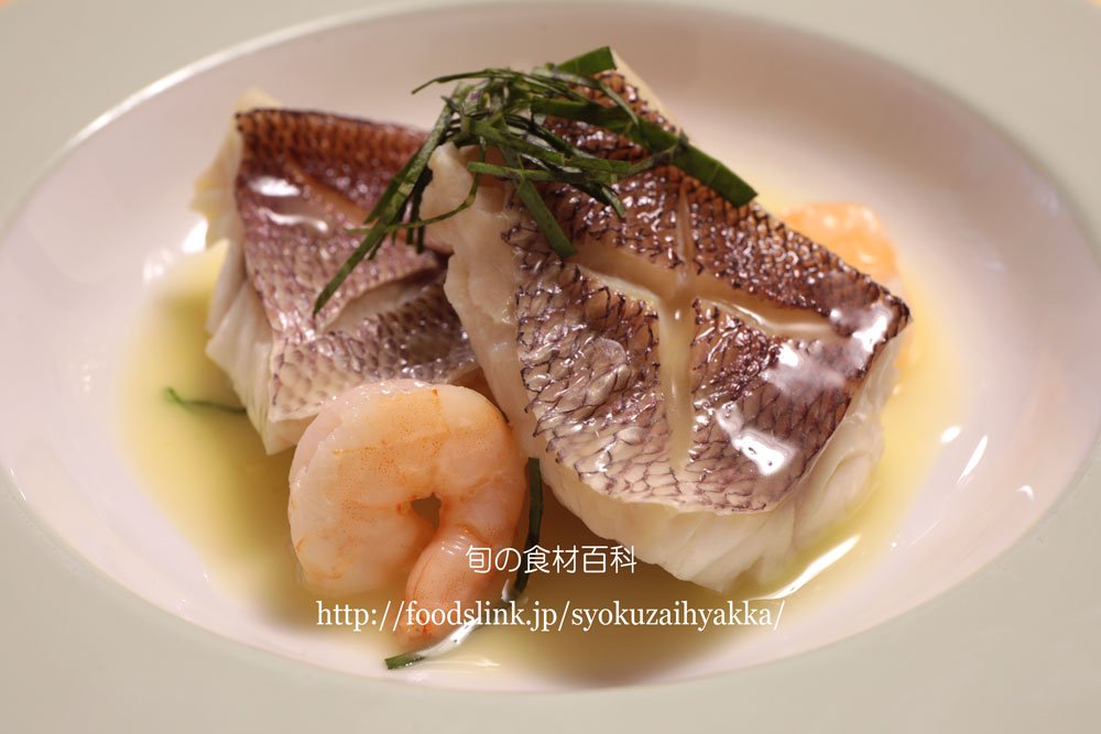 旬の食材百科ーフーズリンク T Co Pnpyrpi4uz ヒメダイ オゴダイやチビキ などの他 沖縄ではクルキンマチとも呼ばれているフエダイ科の綺麗な魚で 上品な白身は色々な料理に使え高級魚として料理屋などに納められ スーパーではほとんど見かけない