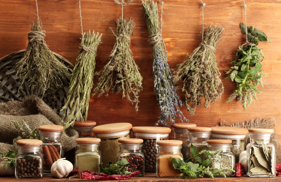DiscoverPulse's tweet image. What healthy herbs do you like to add to your meals? Tell us in the comments below!