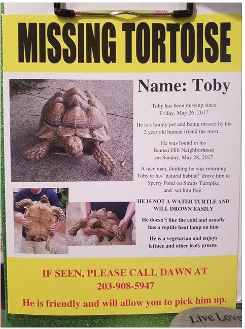 glenechoMCM's tweet photo. Have You Seen #TobytheTortoise 🐢 near Sperry Pond/Middlebury/Waterbury, CT? Please read &amp; #RT https://t.co/69cjrzeYa2 @KICKS1055 https://t.co/K8K89SMrTe