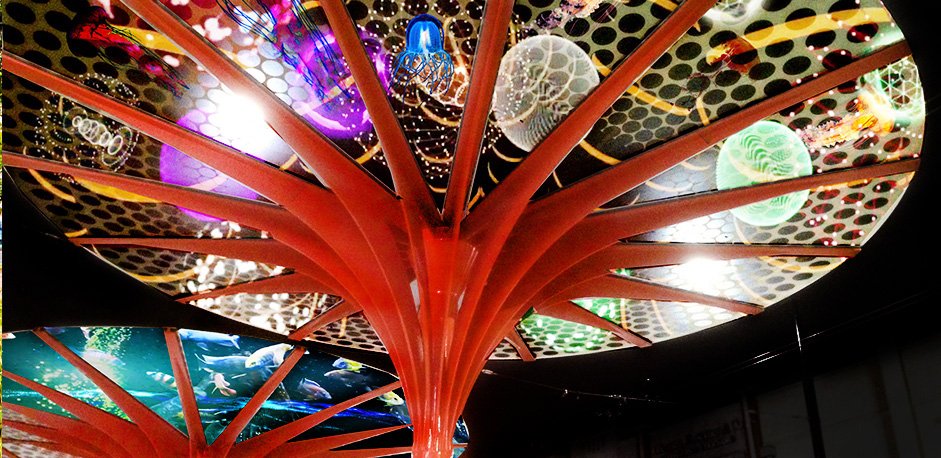cityportphillip's tweet photo. #StKilda Sea Life projections light up #AclandPlaza every night until June 18. Opening night tonight! https://t.co/IaXcDdTSqE @yarratrams https://t.co/9sOJmXFa7T