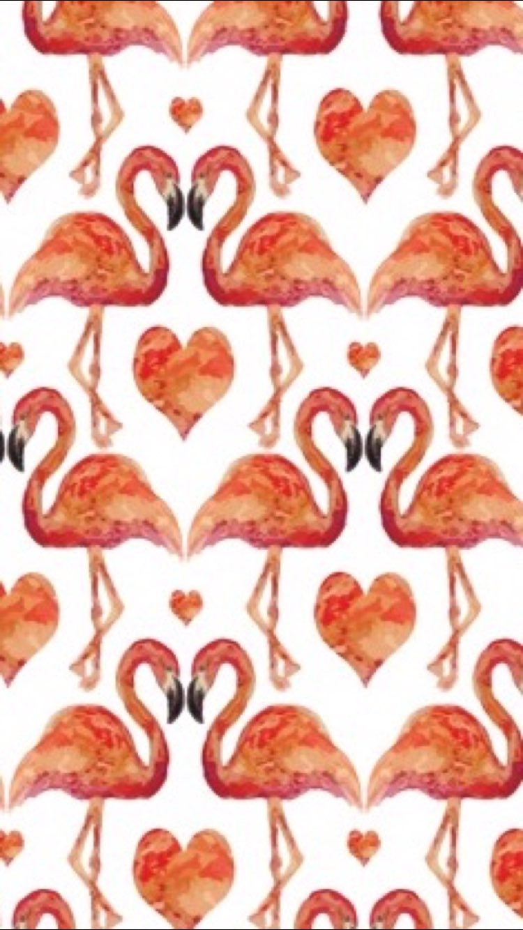 Cocoppa Summer Flamingo Flamingo Summer Bird Pink Beautiful Dreamy Lovely Girly Cute Kawaii Homescreen Wallpaper Icon Cocoppa T Co Fkaejmlwo7 Twitter