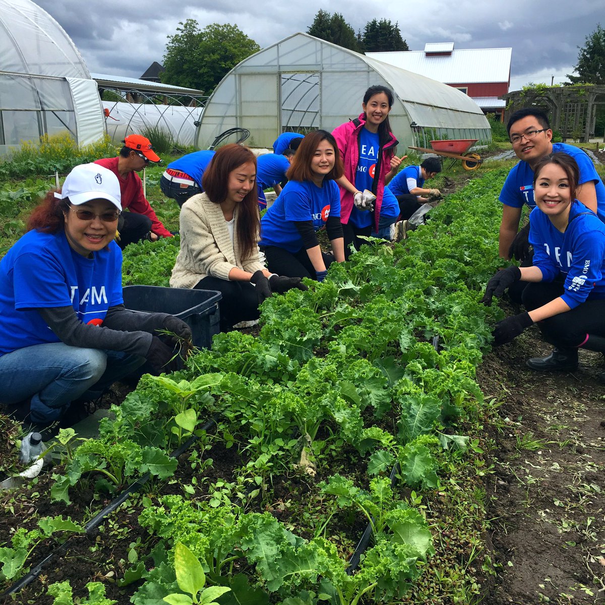 Richmond Days of Caring at the #sharingfarm, thanks for coming out P&amp;C, SSG, NB, FP, PB! #OneBank #UnitedWay #proudtoworkatbmo #BeingBMO
