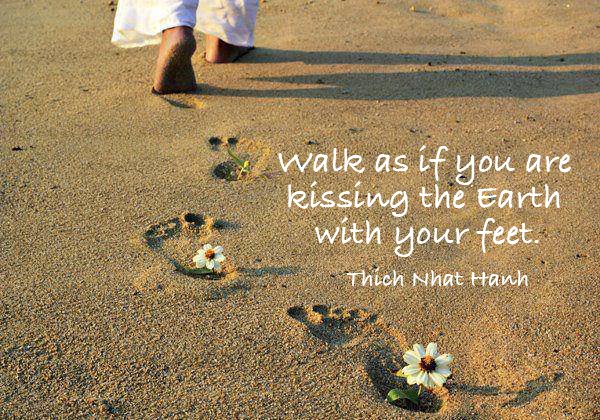 Byron Trails Guide (@byrontrails) on Twitter photo 