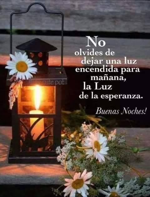 IreneHdzMorelos's tweet photo. @elvirae_ag @Misionero22 @NietoJMG @AureJoaquinG @Chely_Escalante @wiloria @DianaGlzSoto @lapalabratab @ComenMovimiento @FelipeCervera @mikekonk @Leluchans #BendecidaNoche https://t.co/VtEiuXN7Vy