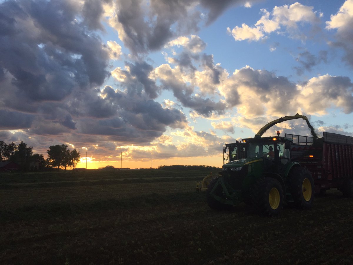 Got started at first cut tonight, taking advantage of the small windows of nice weather #Harvest17 #FromTheField #OntAg