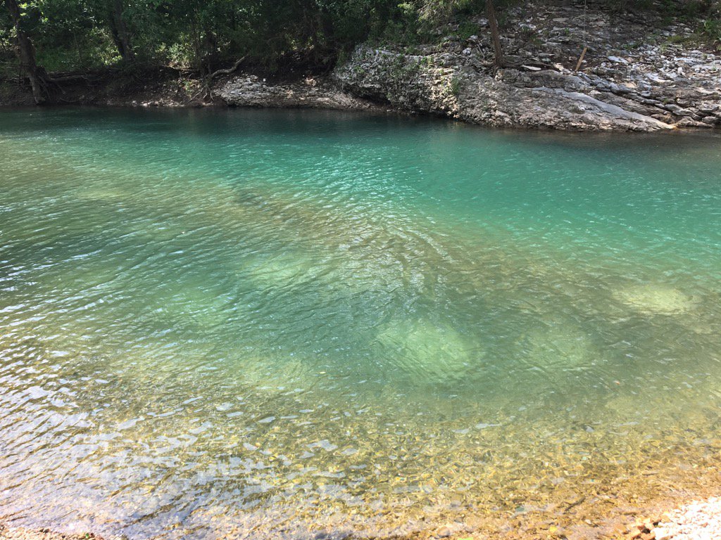 Brewer Lab tweet media