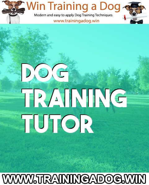 <a href="/puppydazzles/">puppydazzles</a> Dog Training Tutor bit.ly/2pPGjj1 #barkingdog #trainingadog #pottytrainingdog