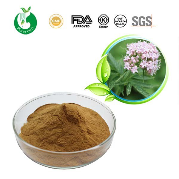 herbsextract's tweet photo. Valerian Root Extract as Natural Tranquilizer
Valeric Acid 0.4% 0.8% HPLC 
Improve sleep quality &amp; sedative effect
https://t.co/boIrS4T9jM https://t.co/pBepG3M6dd
