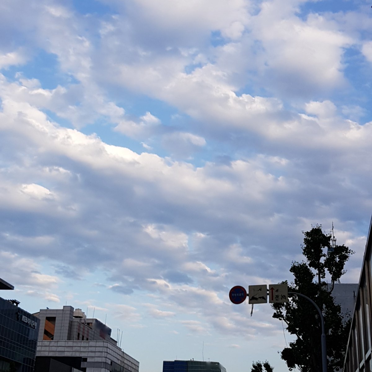 ChatZhan's tweet photo. #noedit #Korea #퇴근 #hashtagbecausehashtag 

 TGIF. https://t.co/xFBh8lLW1z