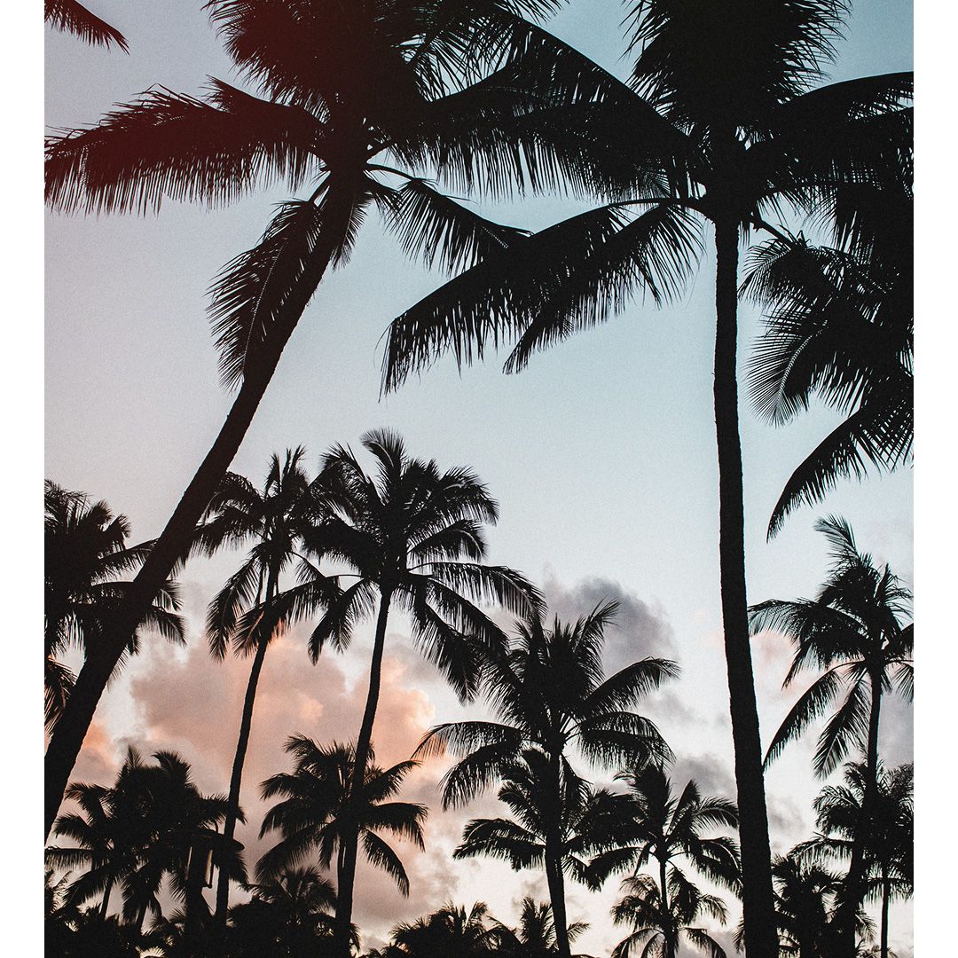 breoofficial's tweet photo. Beautiful haze of the pink and blue sky creates the perfect ambience

#breo #breosunglasses #breoeyewear #eyewear #sunglasses #2for1 #travel https://t.co/WALJmxopjJ