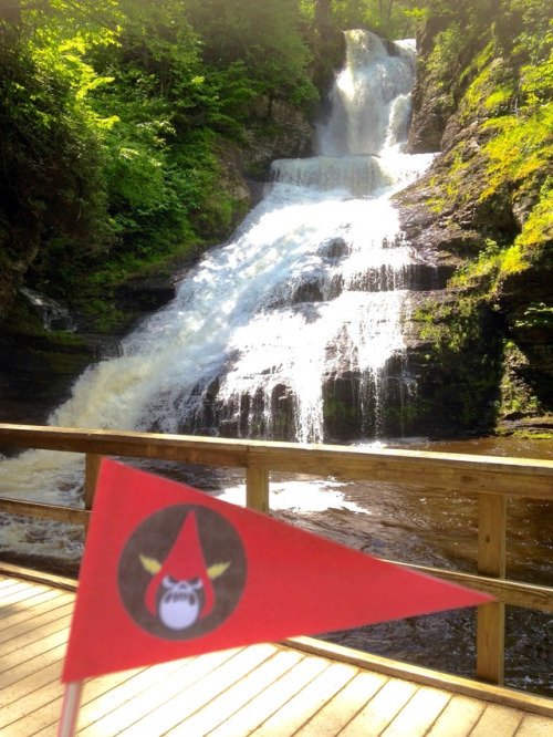 OperationFORCE's tweet photo. IggyCat has captured Dingmans Falls and Silver Thread Falls in PA, America! #Operationforce #WanderOverYonder https://t.co/xzDD4IivPM
