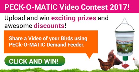 Frankstrade's tweet image. PECk-O-MATIC Video Contest 2017!
#peckomtic #videocontest
visit:bit.ly/2swbgH7
