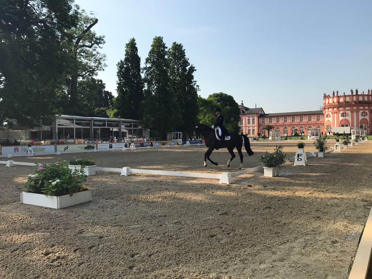The stunning backdrop of Birbrich Palace is the perfect place for <a href="/CarlosParoBRA/">Carlos Parro</a> to go into an early lead at #ERMeventing <a href="/socialmedia_wi/">PfingstTurnier WI</a>