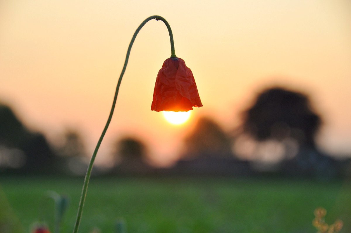 Goedemorgen! 😎Het licht is weer aan! ☀️Geniet van deze zomerdag 🌡en houd later vandaag de 🌧radar in de gaten! 👍Foto: Ben Saanen