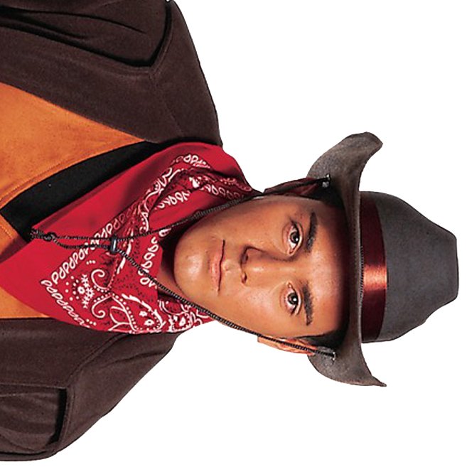 BopCowboy's tweet photo. bop https://t.co/kfOKiY6rcQ