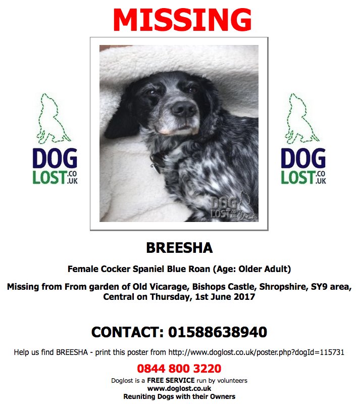 DogLostUK's tweet photo. #LOST BREESHA Female #CockerSpaniel #BishopsCastle #SY9 #Lostdog #ScanMe https://t.co/6yQqDt8fHt https://t.co/FXTDnN2r2K