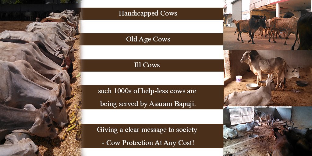 SrivastBrij's tweet photo. @BJP4Delhi गौसेवा व्यक्ति को महान बनाती है,हर व्यक्ति को गौसेवा करनी चाहिए।बापू जी ने भी कई गौशाला स्थापित की है #गौरक्षा_हिन्दू_का_कर्तव्य https://t.co/Qls0WvdrUx