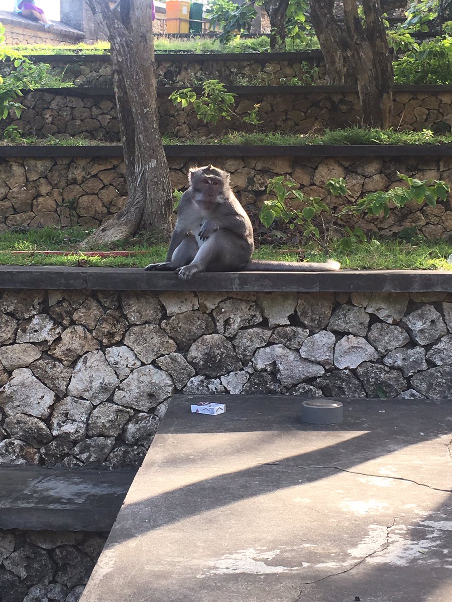 tjoa_herry's tweet photo. This lil nigga trying to snatch tourists things https://t.co/pdjNhTx8aN