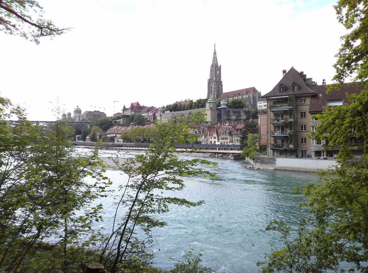 三上麻結 でもベルンはとても暑くなってきたので 最近はよくアーレ川にちゃぷちゃぷしに出掛けています 川で泳いでる 流されてる 人もたくさんいます 私は泳げません