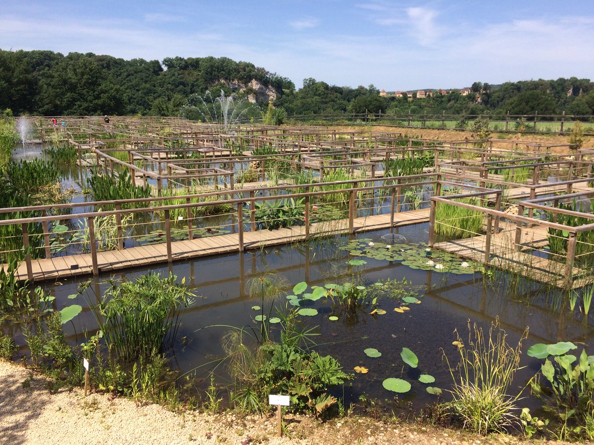 F3Perigords's tweet photo. #visite #jardins de l'eau #Carsac ce soir 19h17 @F3Perigords pour @Rdv_Jardins ce week-end #Dordogne #nénuphar #grenouille #carpes https://t.co/8RNr4MWGhB