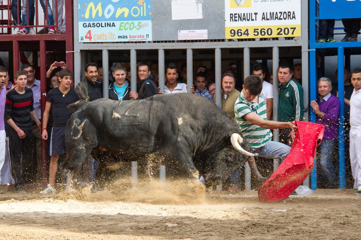 tauroemocion's tweet photo. 💪 @vareaBR CONFIRMA HOY EN MADRID
Hoy, el día más importante de su carrera, tenemos el privilegio de acompañarle.
MUCHA SUERTE TORERO! https://t.co/jgxcJSE2O5
