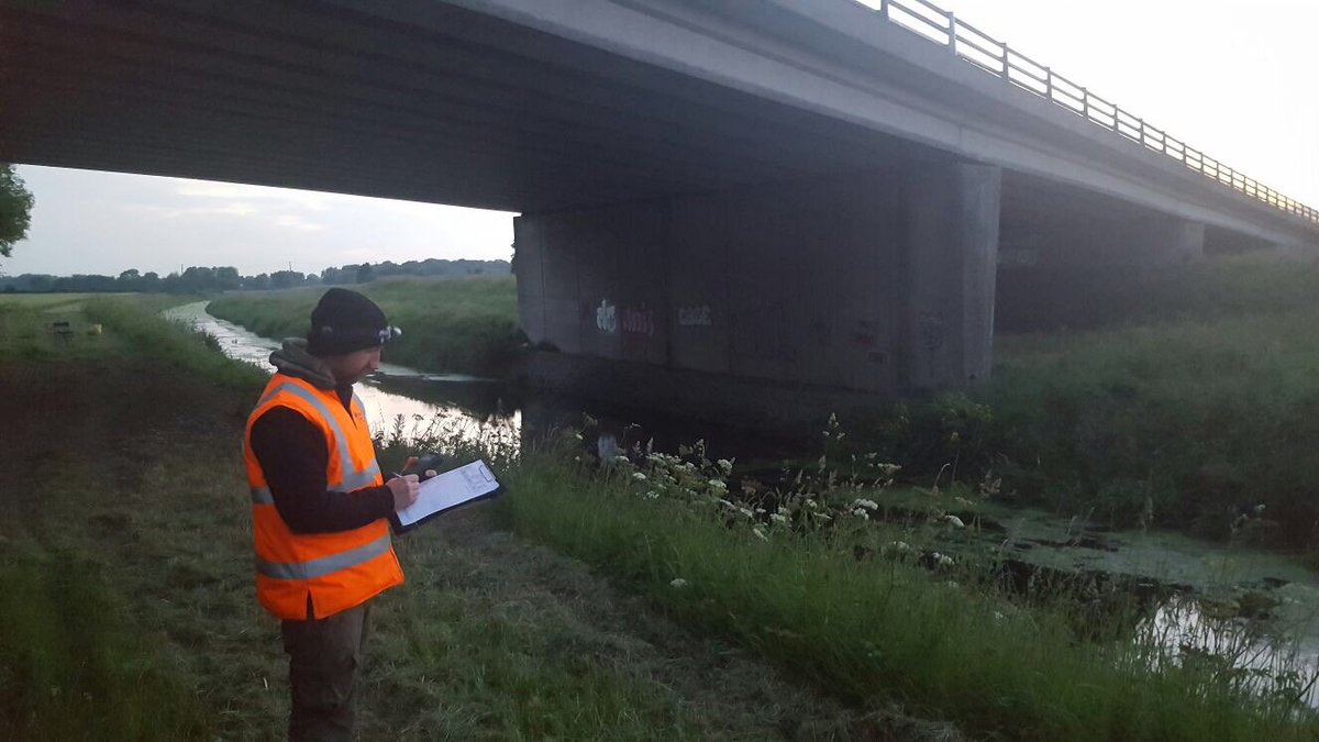 GCDesignGC's tweet image. Ecologist Gavin up bright and early this morning, carrying out a Dusk Survey at the A46